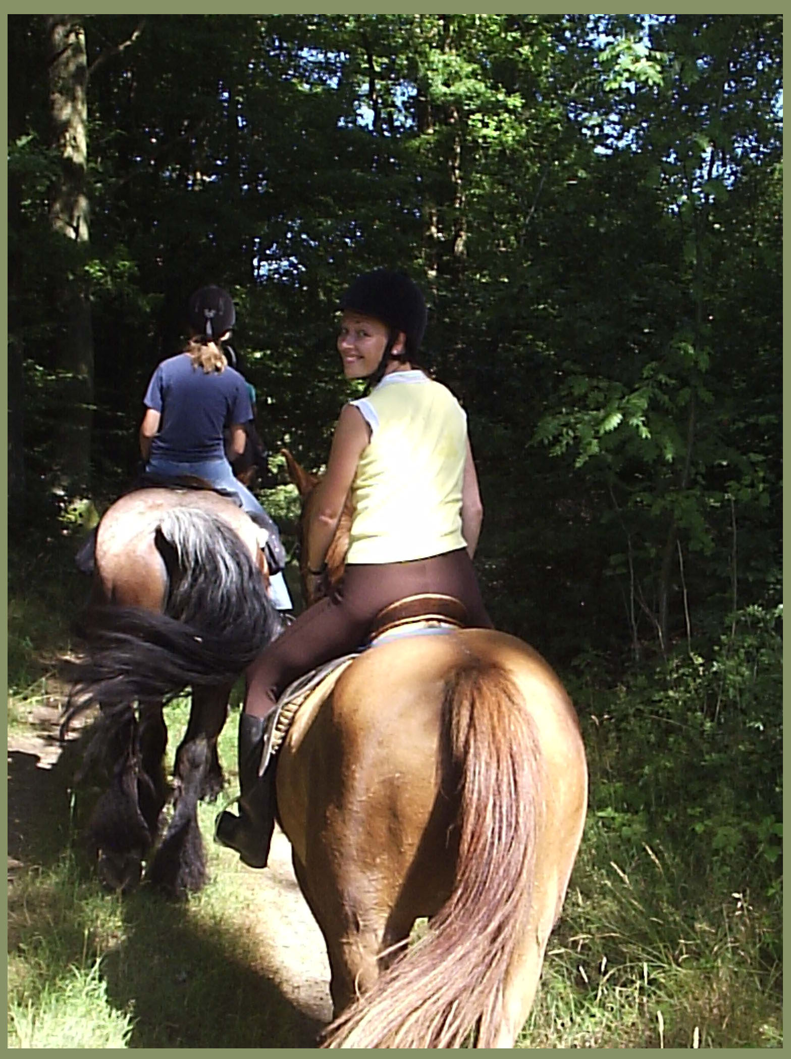 Ausreiten im Westerwald