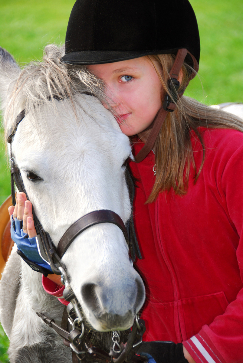 angstfrei reiten lernen