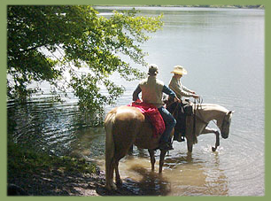 Wanderreitwochende im Westerwald