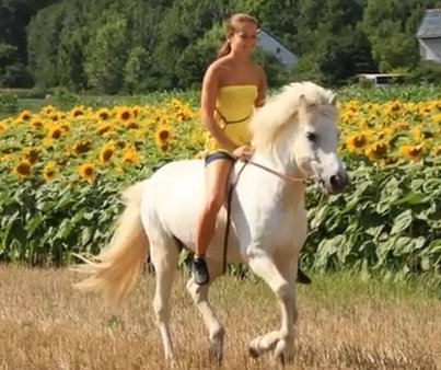 angstfrei Reiten lernen im Westerwald